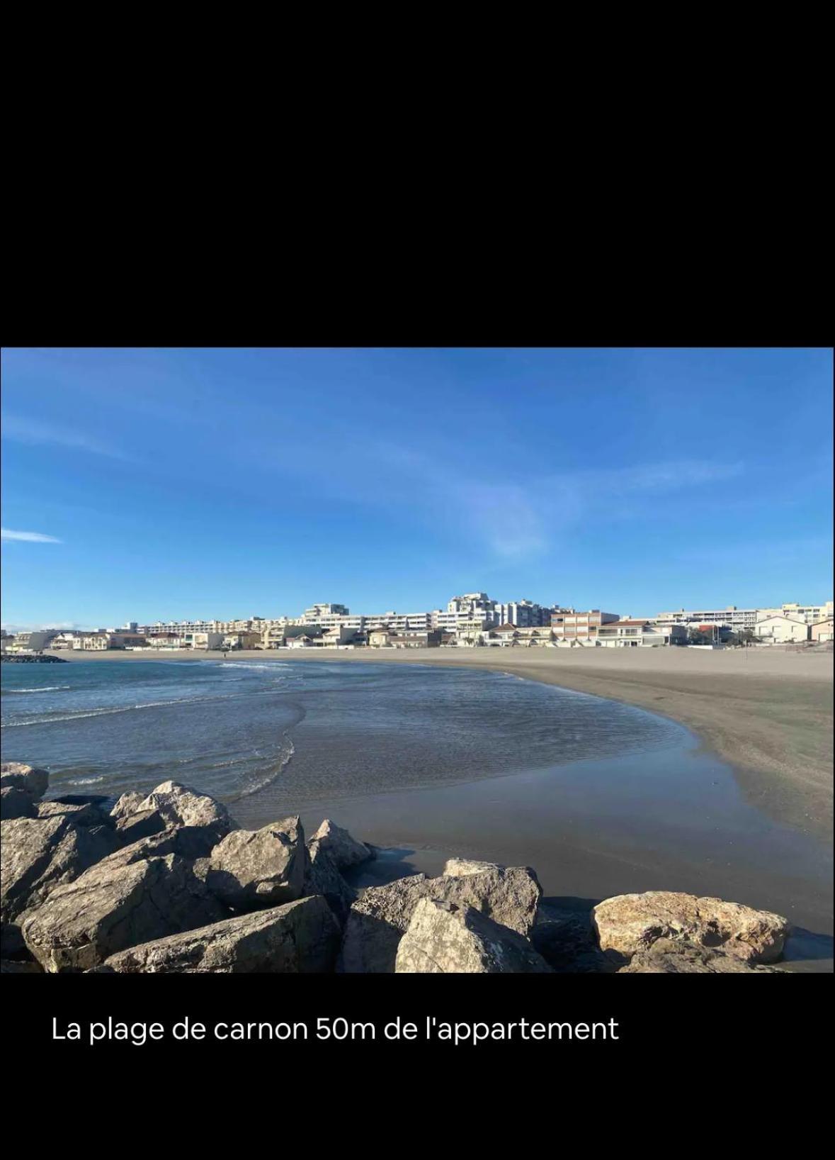 Studio Vue Sur Le Port Mauguio Bagian luar foto